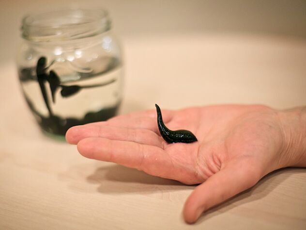 applicazione per il trattamento dell'artrosi dell'articolazione del ginocchio